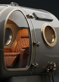 ARK Solo: Panoramic door and seat
